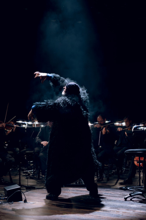 Ludwig Van… – Un autre point d&rsquo;ouïe